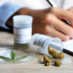 Medical Marijuana: Planning For Legalization