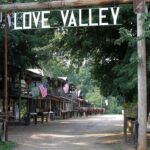 New Member Spotlight: Town of Love Valley