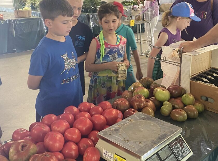 children looking at apples at a farmers market